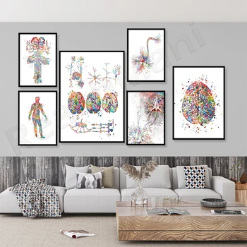 Искусство нейробиологии анатомия неврологии мозг нервная система синапс нейронов плакат, украшение стен клиники в кабинете невролога