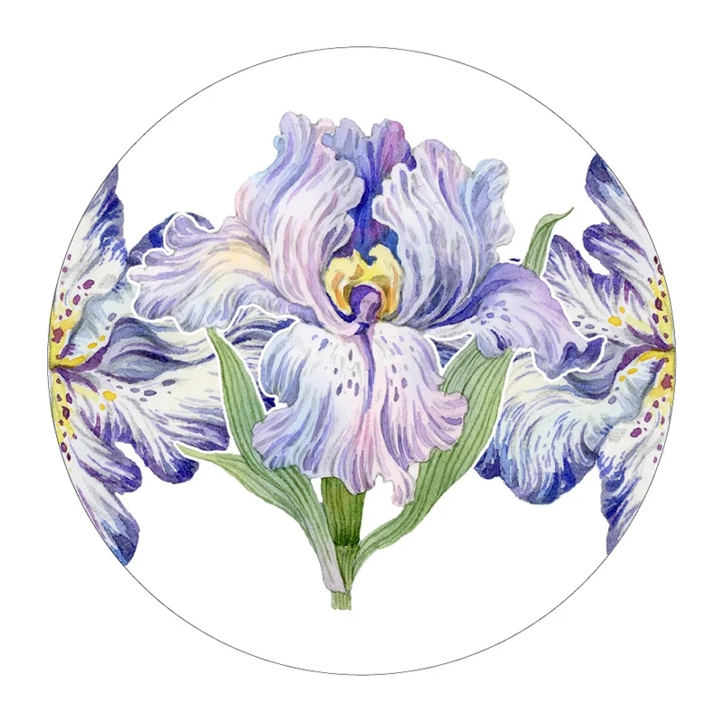 5-метровый рулон новой декоративной наклейки Iris Flower Journal Фиолетовая цветочная лента Washi PET Изображение 3